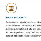 Badgerland Data Backup Plan
