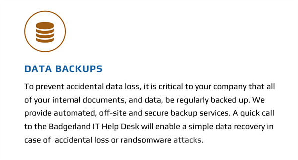 Badgerland Data Backup Plan