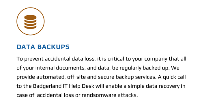 Badgerland Data Backup Plan
